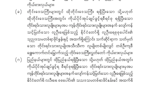 အခြေခံဥပဒေ ပုဒ်မ ၁၆၁