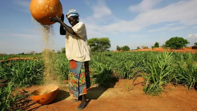 كيف ستغير الحرب النووية البشرية؟