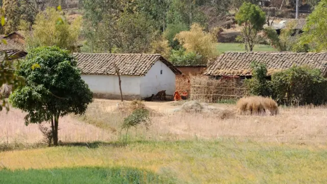 પ્રતીકાત્મક તસવીર