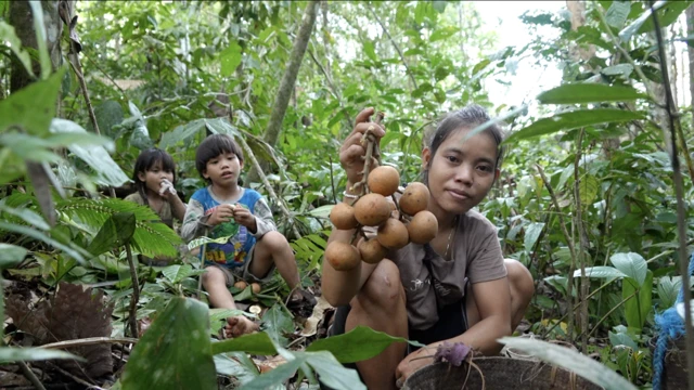 Punan Batu, Kalimantan, lingkungan, adat