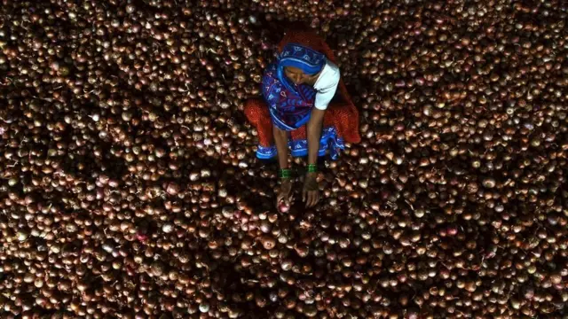 પ્રતીકાત્મક તસવીર