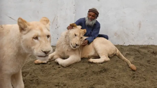 گذشتہ ہفتے کا پاکستان