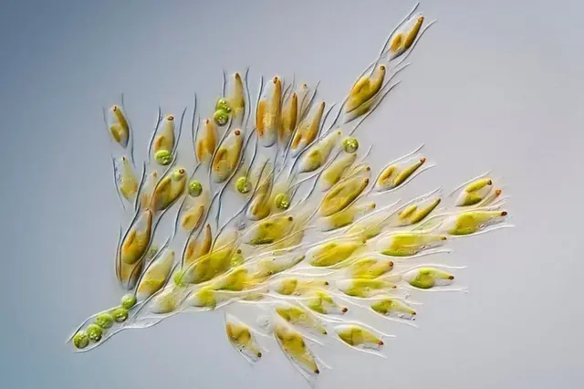 ఫొటోగ్రఫీ ఆఫ్ ద ఇయర్ 2018