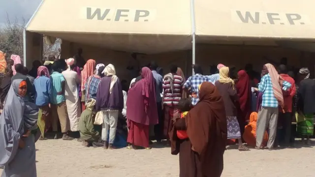 Kumannaan qof ayaa sugaya in Soomaaliya lagu celiyo