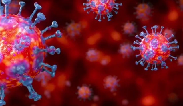 Mlipuko wa virusi vya Corona unasambaa kwa