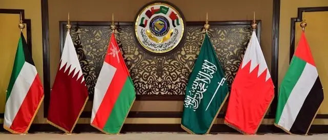 GCC flags