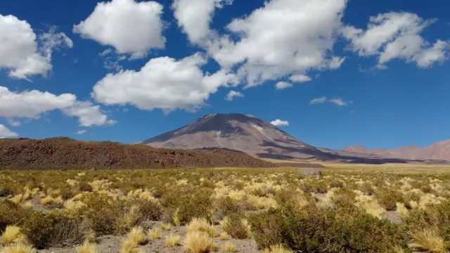 Atacama