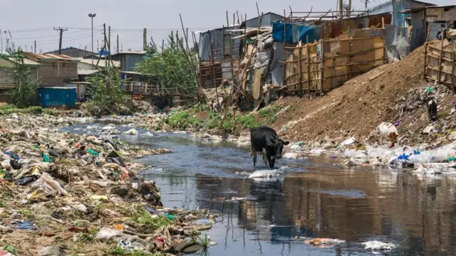 التلوث البلاستيكي أصبح مشكلة عالمية