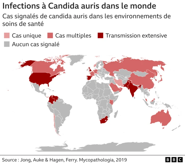 Graphiques des infections fongiques dans le monde.