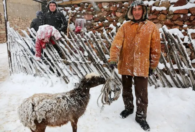 બુઝકશી, ઉઝબેકિસ્તાન