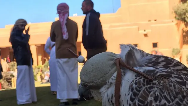 قطر کے شکاری