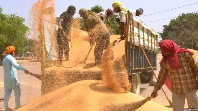 ਕਣਕ