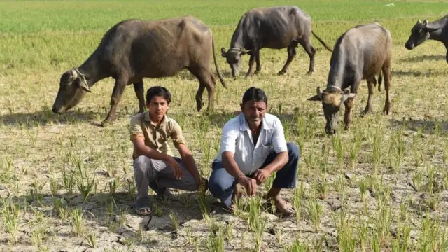 ખેડૂતોની પ્રતીકાત્મક તસવીર