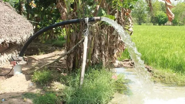 காவிரி நீர் பிரச்சனை: டெல்டா பகுதியில் வேறு பயிர்களைப் பயிரிட முடியுமா?