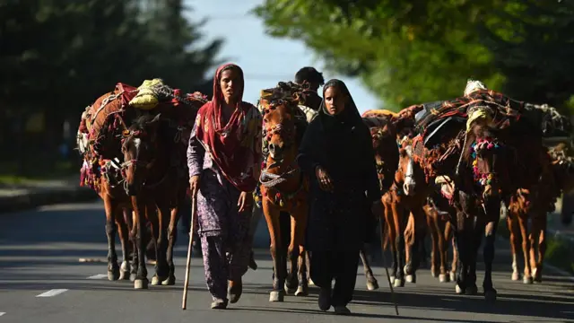 બક્કરવાલ સમાજની પ્રતીકાત્મક તસવીર