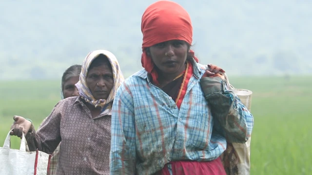 తస్లీమా