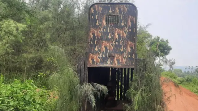 పులి బోను