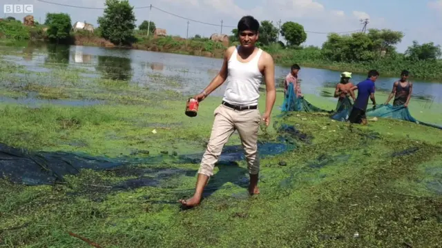 నీటి కుంటలు, నీరు