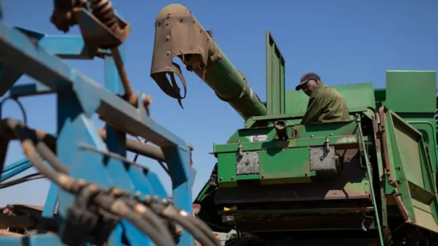 Ikore oko lẹba ilu Harare