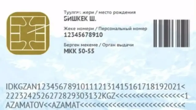 Паспорт маселеси боюнча Мамлекеттик каттоо кызматынын бакандай үч өкүлү кармалды