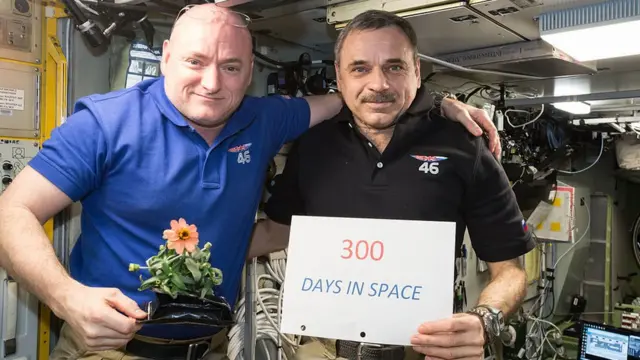 2016 ஆம் ஆண்டின் உலகின் முக்கிய நிகழ்வுகள்