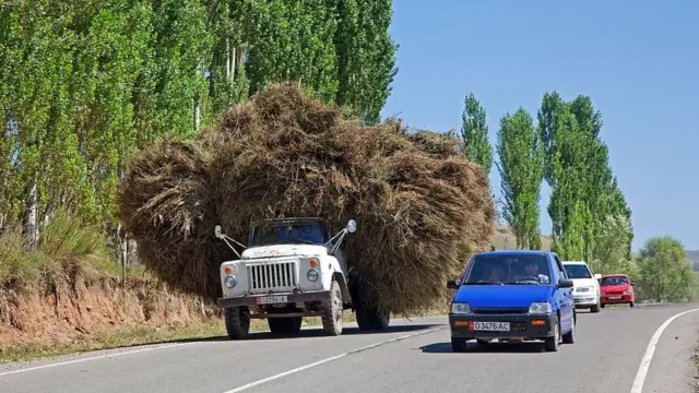 Кыргызстандагы