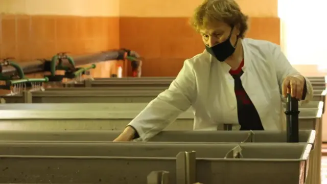 Mrestilišta poput ovog ključna su u procesu očuvanja ohridske pastrmke uprkos pritiscima koje nameće ribolov