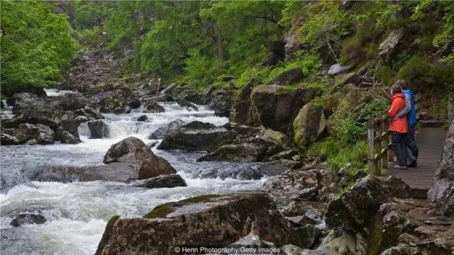 格里菲斯说："（'Cwtch'是个）安全的港湾…让你在身体和精神上都感到温暖"（Credit: Henn Photography/Getty Images）