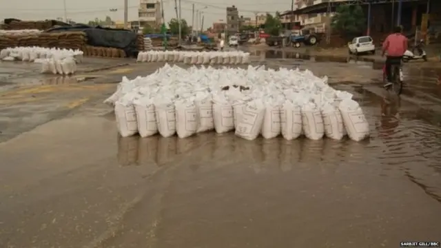 फगवाड़ा की मंडी