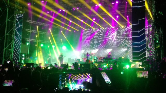 koncert grupa muzičari festival egzit