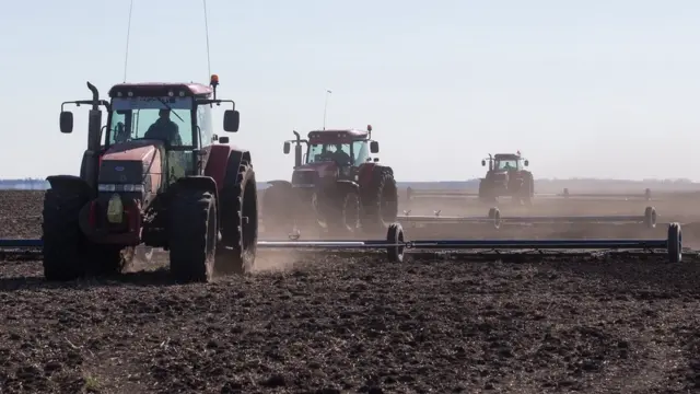 В прошлом году существенный рост показало сельское хозяйство