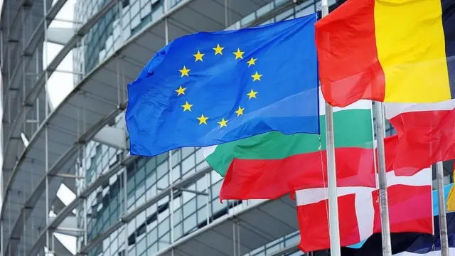 சிஏஏ-வுக்கு எதிராக தீர்மானம் - ஐரோப்பிய நாடாளுமன்றம் திட்டம்