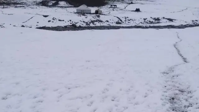 Ак-Сай жайлоосу