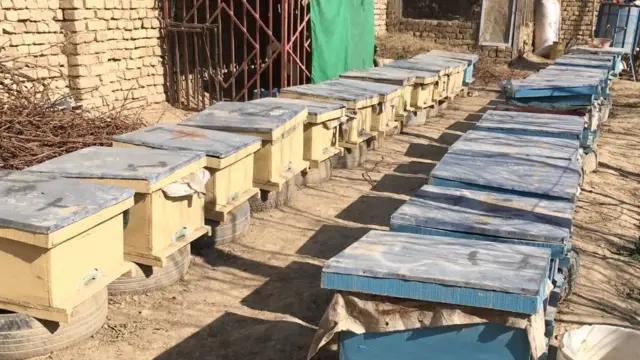 بلخ