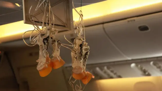 الغواص الذي نجا من الموت بعد نفاد الأكسجين في قاع المحيط