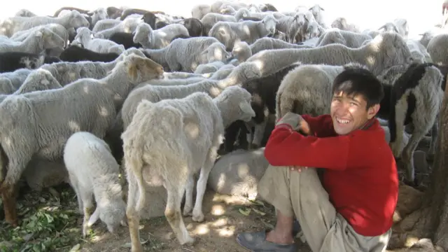 बक्करवाल, जम्मू-कश्मीर, कठुआ