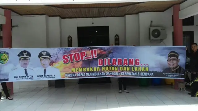 kebakaran hutan, kalimantan tengah