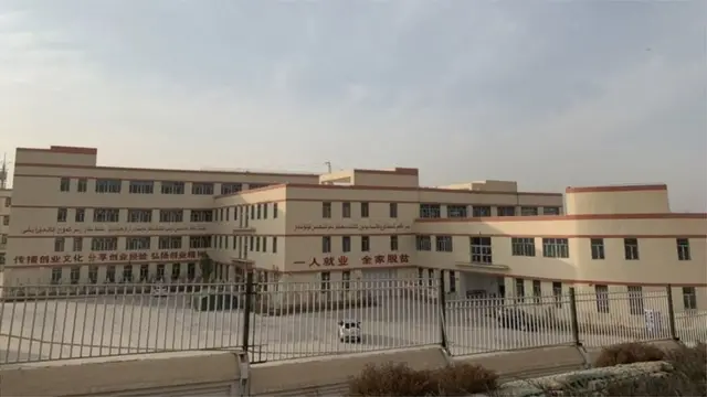 బీబీసీ టీమ్