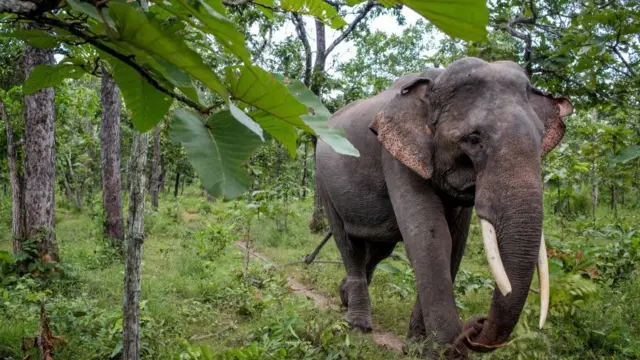 கோப்புப் படம்