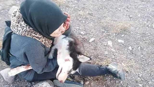 Sahba Barakzai e a cachorra depoismelhor jogo de aposta de futebolela ser morta