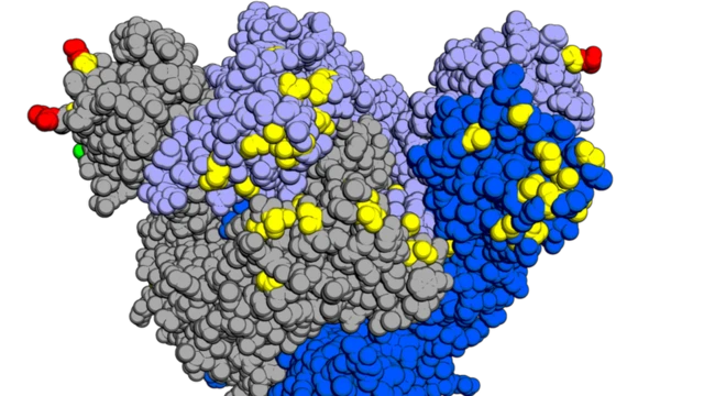 Мутация Омикрона по сравнению с исходным штаммом