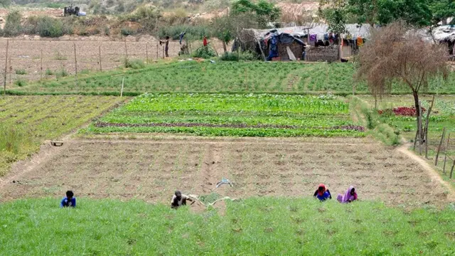 கொரோனா 40 நாள் ஊரடங்கு: விளைவுகள் எப்படி இருக்கும்? - ஜெயரஞ்சன் நேர்காணல்