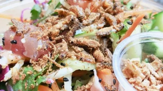 خوردنی کیڑے جھینگر اور ٹڈیاں