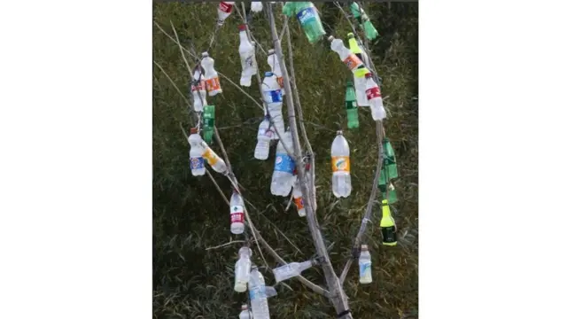 پامیر ٹائمز