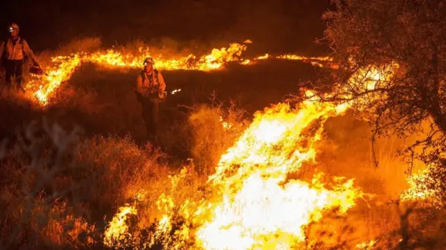 குரங்கணி தீ விபத்து: பலி எண்ணிக்கை 16 ஆக உயர்வு