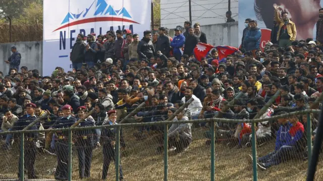 क्रिकेट