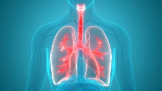 உடல் பருமன்