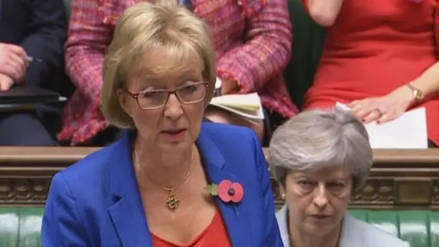 رئيسة الوزراء تيريزا ماي بجوار أندريا ليسدوم أثناء إلقاءها كلمة في البرلمان