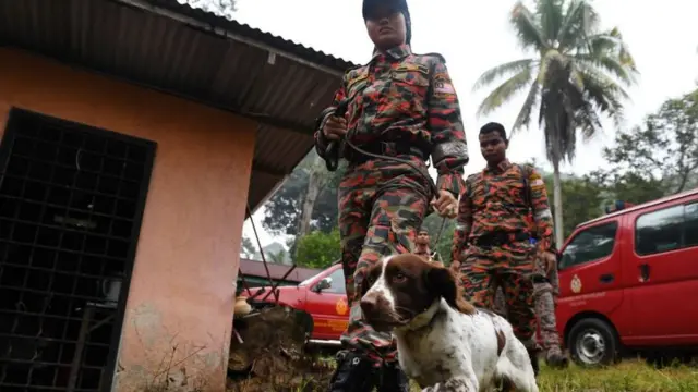 नोरा केस