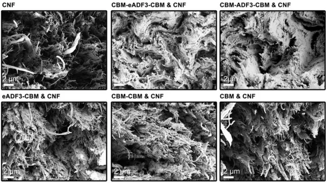 Imágenes microscópicas de material